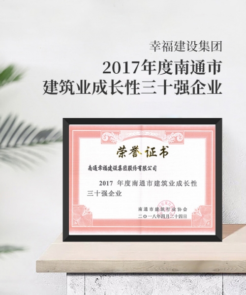 2017年度南通市建筑業(yè)成長性三十強企業(yè)